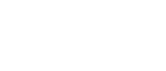 Weitblick Kletterwald FRANKFURT